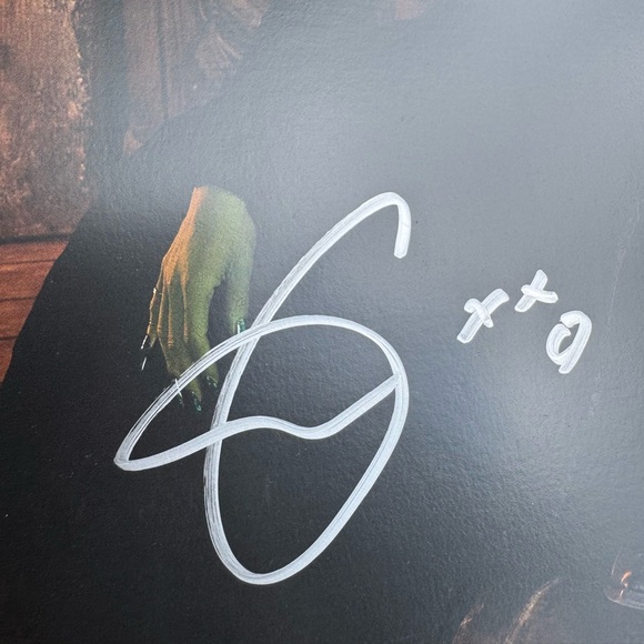 Wicked Soundtrack Vinyl LP w/ Signed Insert Poster - Picture 4 of 9